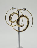 Spiral Hoops Pitaya