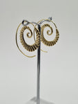 Spiral Hoops Fayat